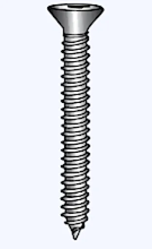 L'océan, 10 vis autotaraudeuses St. fraisée Phillips A4 INOX, 4,8 x 19mm