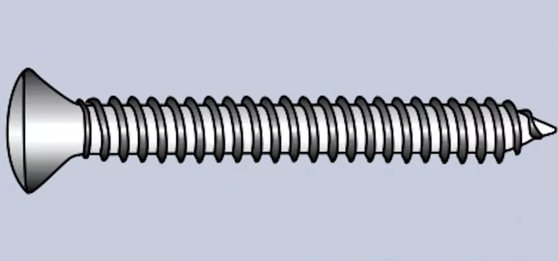 LOcéan, 10pc. Taraudeuses Inox A4 élevé fraisée Torx, 4,8 x 19 mm