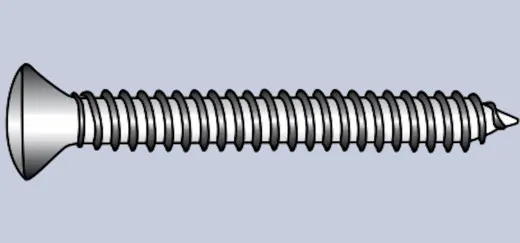 L´Ocean, 10St. Blechschrauben Inox A4 Linsensenkkopf TORX, 3,5 x 25mm