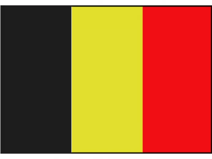 Talamex Gastlandflagge Belgien 20cm x 30cm