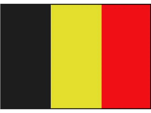 drapeau de courtoisie Talamex Belgique 20cm x 30cm