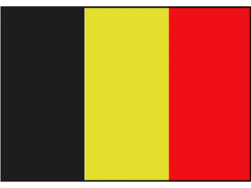Talamex Gastlandflagge Belgien 20cm x 30cm