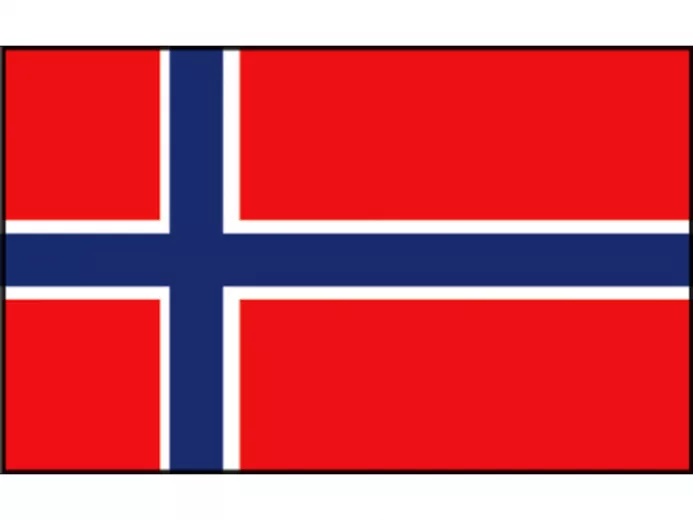 drapeau de courtoisie Talamex Norvège 20cm x 30cm