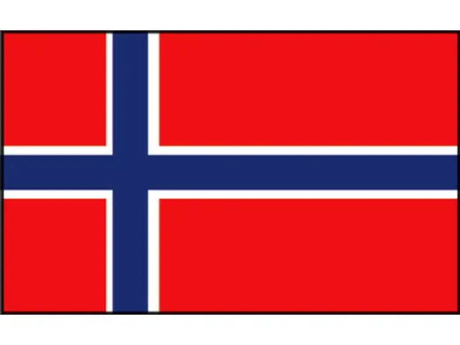 drapeau de courtoisie Talamex Norvège 20cm x 30cm