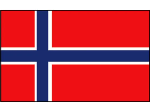 Talamex guest country flag Norway 20cm x 30cm
