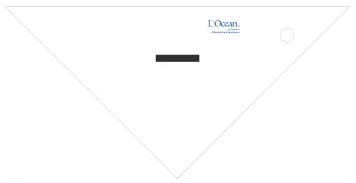 L`Ocean, triangle de navigation 25cm