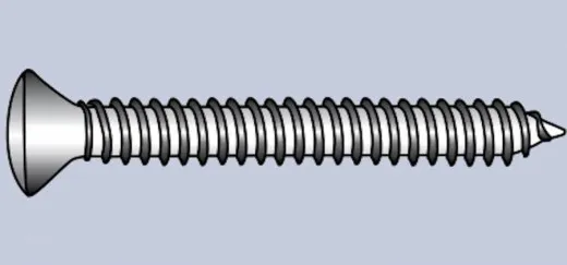 L´Ocean, 6 St. Inox A4 Blechschraube, Linsensenkkopf, 5,5 x 16mm